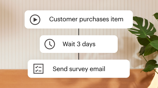 Example of an automation that sends customers their order details 3 seconds after their purchase.